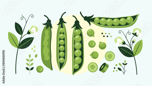Stylized Fresh Green Peas and Pods with Leafy Botanical Elements for Healthy