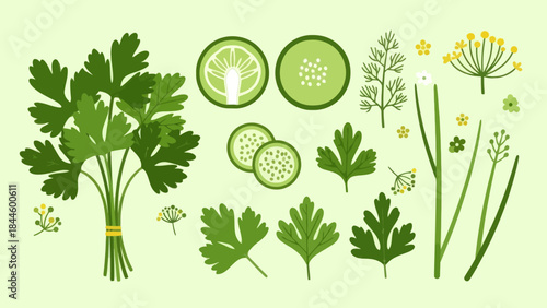 Illustration of Fresh Herbal and Vegetable Garnishes with Lime Slices