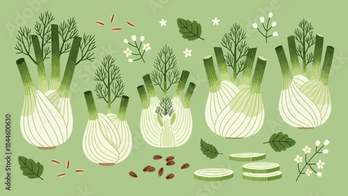 Whimsical vegetable garden with sprouting fennel bulbs surrounded by herbs and