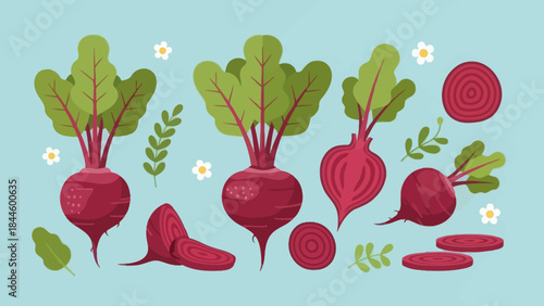 Colorful Illustration of Beets and Sliced Beetroot with Green Leaves and Flowers