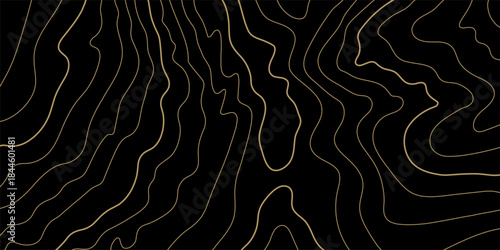 Golden topography lines, horizontal vector pattern