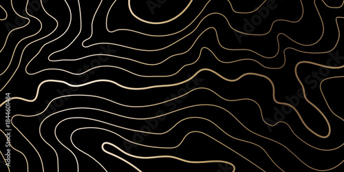 Topography gold pattern. Mountain lines on a geography map. Luxury graphic symbolizing elegant peaks and dunes. Golden vector contour on a black background. Horizontal premium design.