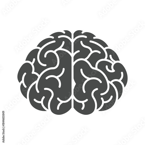 Human brain illustration with detailed structure