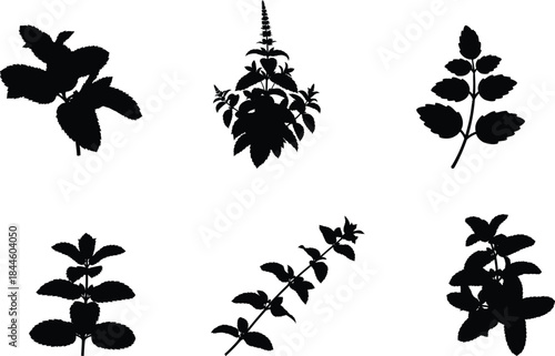 Collection of various plant silhouettes and illustrations