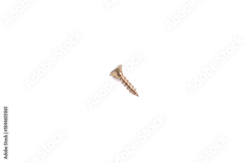 Scattered wood screws isolated on white background