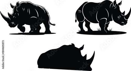 Collection of rhinoceros silhouettes and photographs