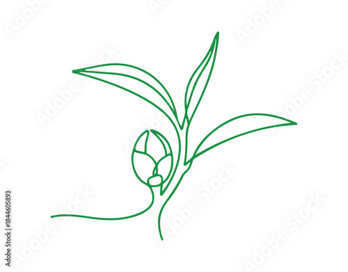 one-line sketch of healthy organic tea leaves intended for a plantation logo identity. The concept features a fresh, tender bud of a tea shoot as a tea leaf icon. 