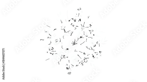 Abstract Black Particle Explosion Scatter Graphic isolated as a Design Overlay Resource