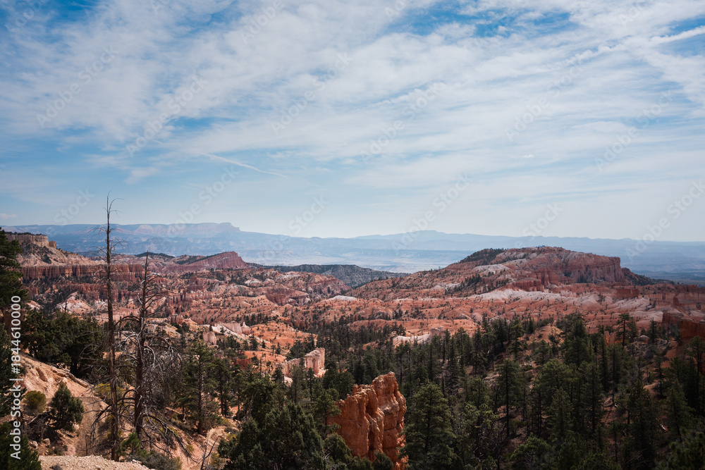 Naklejka premium Bryce Canyon Utah