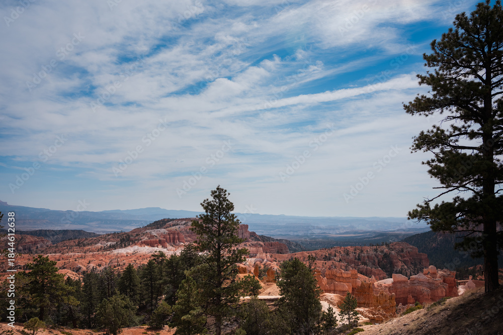 Naklejka premium Bryce Canyon Utah