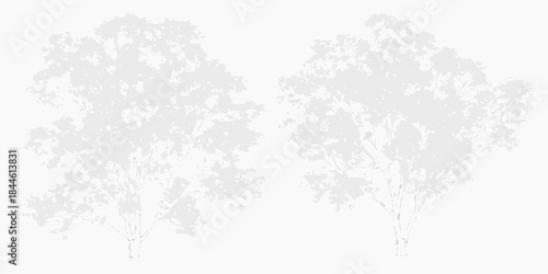 Two delicate grayscale tree silhouettes against a plain white background