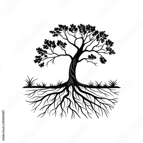 vector tree silhouette
