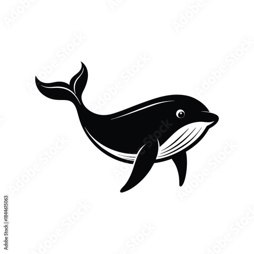 vector illustration of cartoon shark