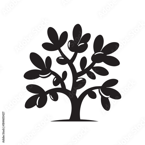 International Day of Argania