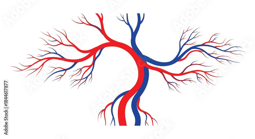 An abstract illustration of branching red and blue veins resembling a tree