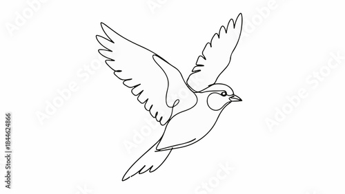 Minimalist continuous line drawing of a flying songbird vector graphic illustration
