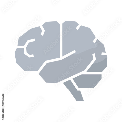 Simple gray brain illustration on white background