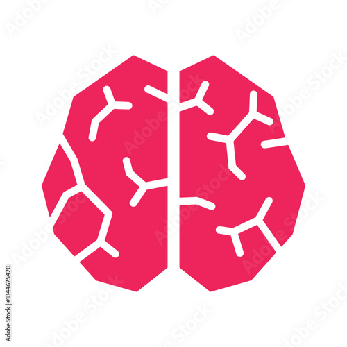 Human brain illustration with neural connections