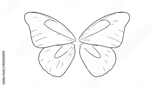 Simple black outline butterfly wings vector drawing isolated on white background