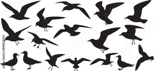Seagull silhouettes vector set in various poses. collection of flying, landing, and standing seabirds, black coastal bird icons for nature, beach, ocean, wildlife design, vector illustration