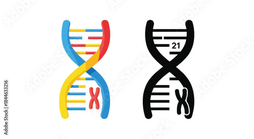 Colorful dna helix structures and a chromosome illustration on white background
