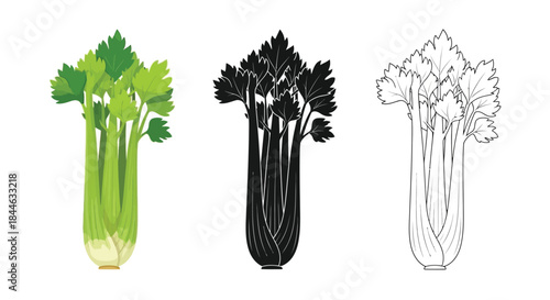 Celery stalk illustrations in color silhouette and line art styles