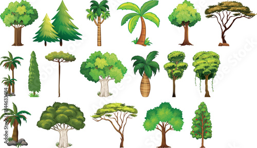 Isolated tree on white background