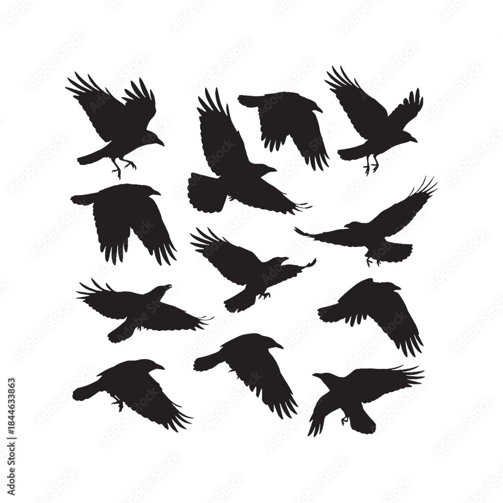Obraz premium Crow Silhouettes Collection,Crows Silhouettes,Vector Crow Silhouettes,Black Crow Silhouettes,crow vector