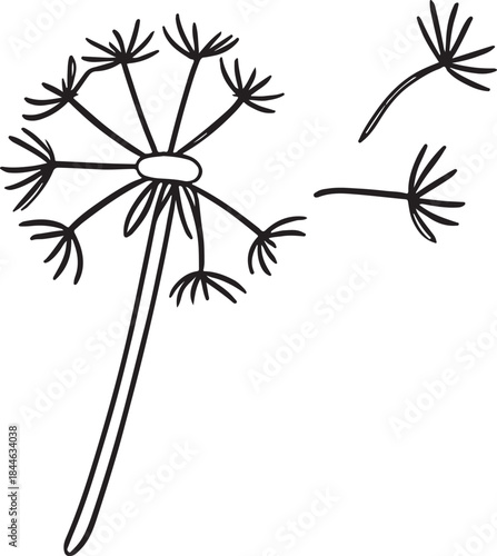 Dandelion seeds floating dark background