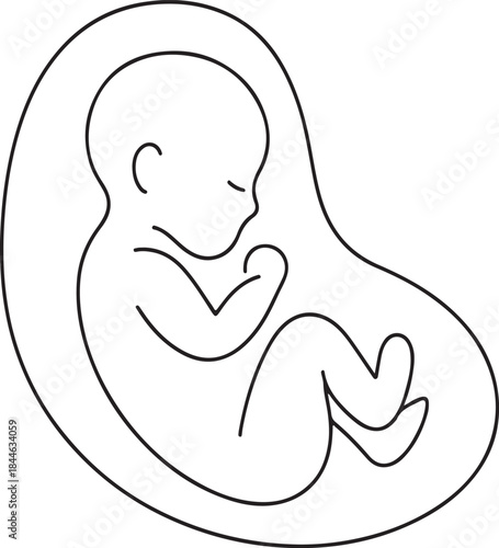 Fetus in womb outline