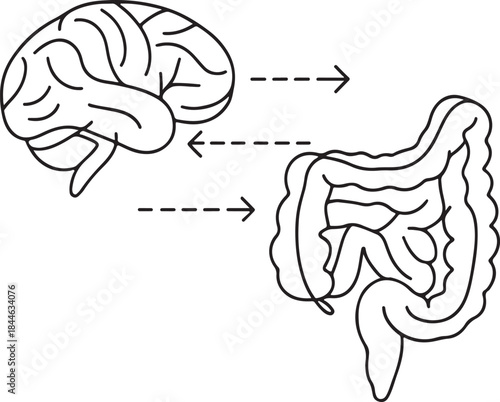 Brain gut axis line art