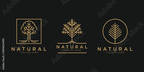 Luxury natural tree logo set with gold line style