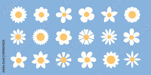 White daisy chamomile set on blue background