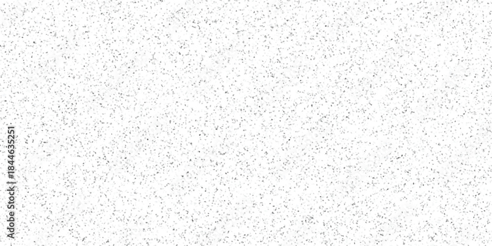Obraz premium Subtle Gray Speckled Texture Background with Tiny Irregular Dots and a Clean White Backdrop for Design Projects