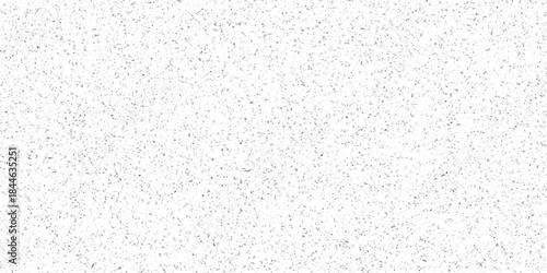 Subtle Gray Speckled Texture Background with Tiny Irregular Dots and a Clean White Backdrop for Design Projects