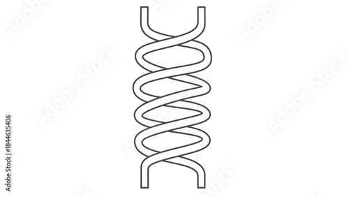 DNA double helix outline illustration on isolated white background