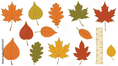Autumn maple leaves collection vector pattern design