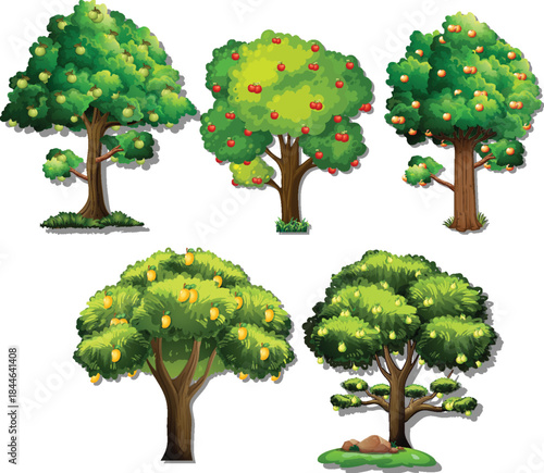 Kids drawing style fruit bearing tree vector