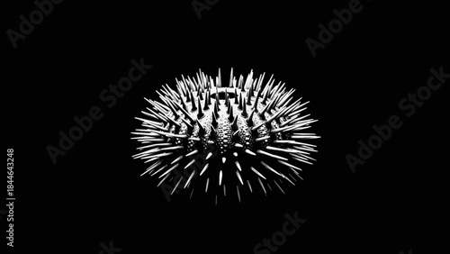 Closeup of a magnetic field with iron filings showing the lines of force.