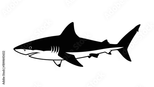 Powerful Great White Shark Silhouette Vector Illustration.