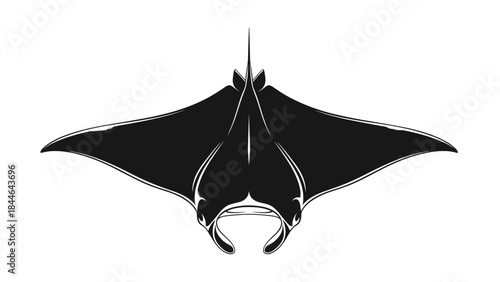 Silhouette of a Manta Ray swimming in the ocean.