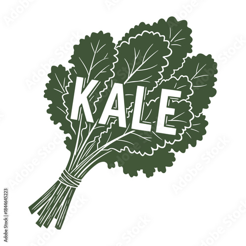 Minimalist linocut style kale illustration with integrated hand drawn typography in earthy green on white background