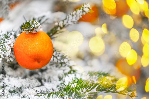 Christmas still life. Christmas fir branches and tangerines