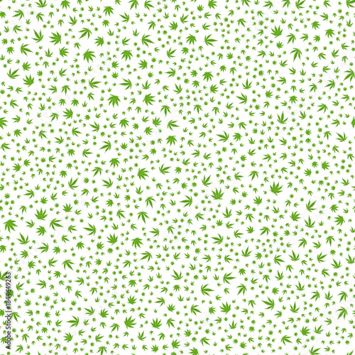 Vector seamless pattern with many small cannabis leaves of different sizes on a white background, ideal for medical, cbd, textile, packaging, and branding projects.