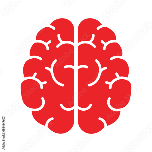 Human brain illustration on white background