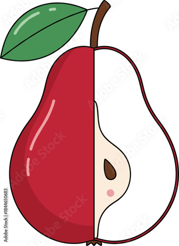 Red pear half vector illustration showing whole and sliced fruit, fresh organic food icon for nutrition design