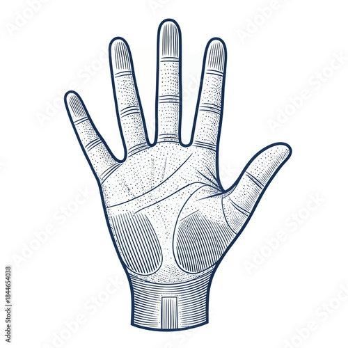 Detailed Line Art Hand with Open Palm fingers human hand