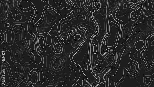 Bold, high-contrast topographic contour map. Design illustration for wall art, fabric, packaging, web, banner, wallpaper.

