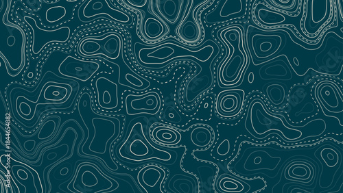 Topographic map pattern background vector. Abstract mountain terrain map background with abstract shape line texture. Design illustration for wall art, fabric, packaging, web, banner, wallpaper.