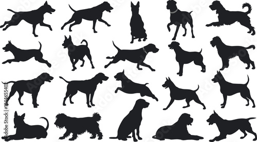 Dog silhouette collection, various breeds in running, sitting and standing poses, playful canine vector set for design, pet graphics and illustrations